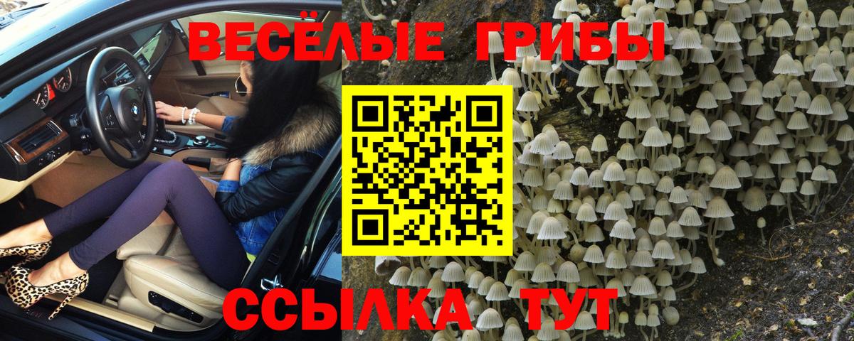 Псилоцибиновые грибы MAGIC MUSHROOMS  Галлюциногенные грибы ЛСД  Вход с VPN  Новый Уренгой 
